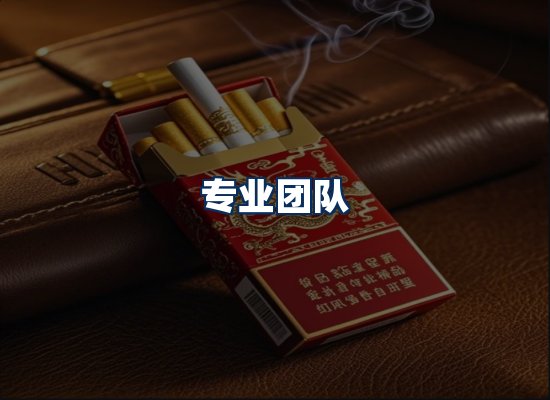 专业团队